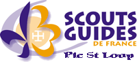logo scouts et guides de france