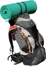 sac scout